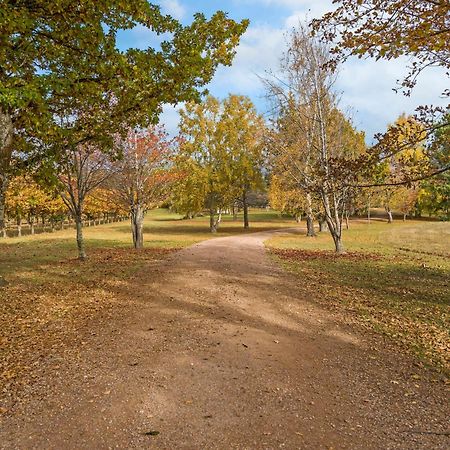 Blackwood Park Cottages Mole Creek Ngoại thất bức ảnh