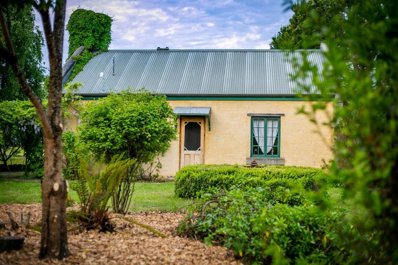 Blackwood Park Cottages Mole Creek Ngoại thất bức ảnh