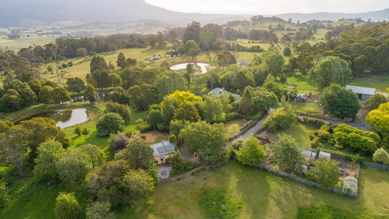 Blackwood Park Cottages Mole Creek Ngoại thất bức ảnh